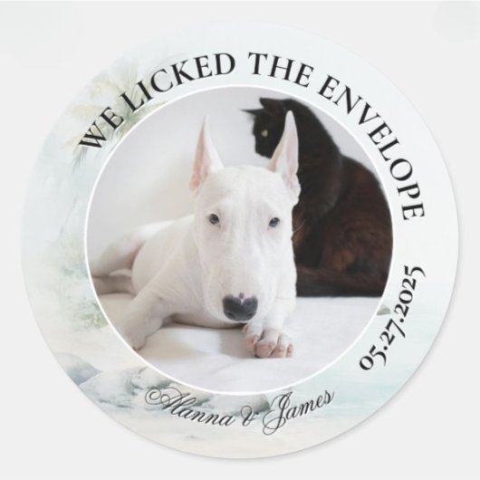 Funny Dog “I Licked the Envelope” Tropical Beach Ronde Sticker