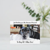 Funny Dog "I Miss You" Gezegde Hi Briefkaart (Staand voorkant)