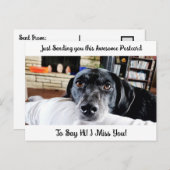 Funny Dog "I Miss You" Gezegde Hi Briefkaart (Voorkant / Achterkant)