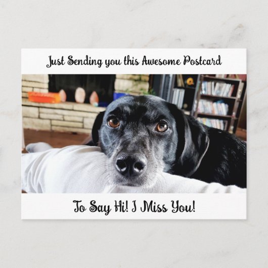 Funny Dog "I Miss You" Gezegde Hi Briefkaart (Voorkant)