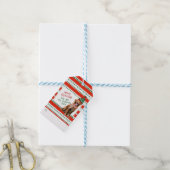 Funny Dog in Elf Pet & Sjaal Rood Groen Kerstfeest Cadeaulabel (Met Touw)