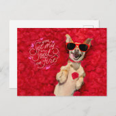 Funny Dog in Red Rose Petals Happy Valentijns Briefkaart (Voorkant / Achterkant)