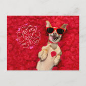 Funny Dog in Red Rose Petals Happy Valentijns Briefkaart (Voorkant)