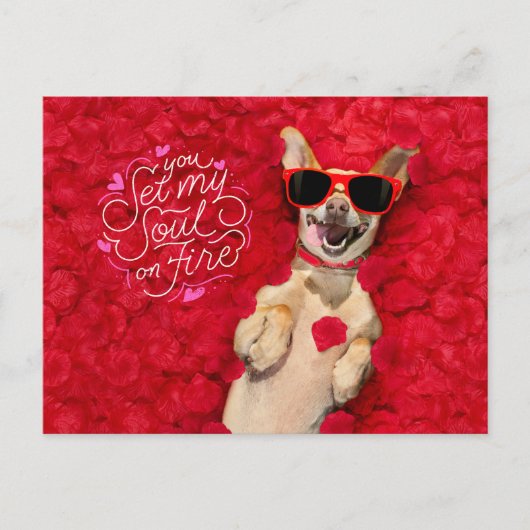 Funny Dog in Red Rose Petals Happy Valentijns Briefkaart (Voorkant)