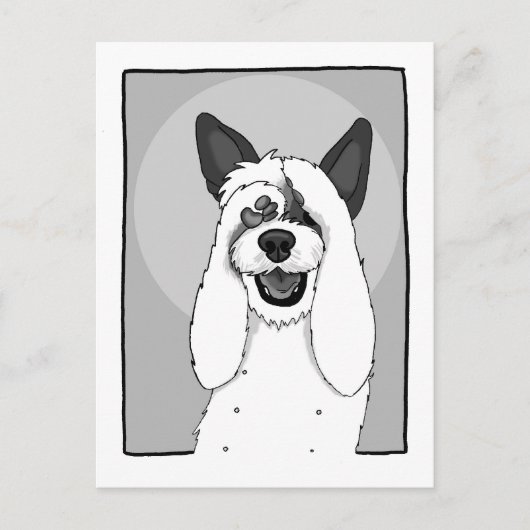 Funny Dog IV Briefkaart (Voorkant)