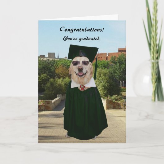  Funny Dog/Lab Afstuderen Kaart (Voorkant)