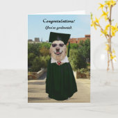  Funny Dog/Lab Afstuderen Kaart (Gele Bloem)