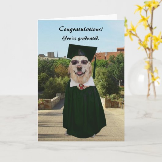 Funny Dog/Lab Afstuderen Kaart (Gele Bloem)