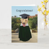 Funny Dog/Lab Afstuderen Kaart (Gele Bloem)