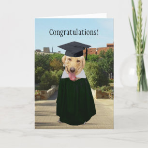 Funny Dog/Lab Afstuderen Kaart