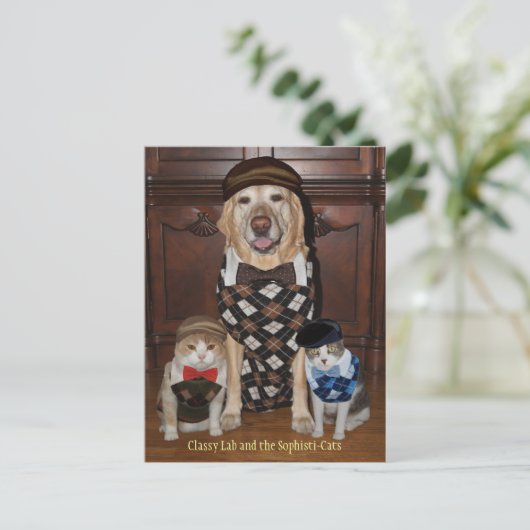 Funny Dog/Lab & Cats in Argyle Sweaters Briefkaart (Staand voorkant)
