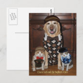 Funny Dog/Lab & Cats in Argyle Sweaters Briefkaart (Voorkant / Achterkant)