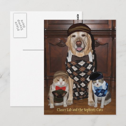 Funny Dog/Lab & Cats in Argyle Sweaters Briefkaart (Voorkant / Achterkant)