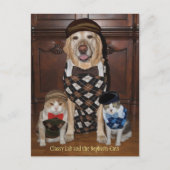 Funny Dog/Lab & Cats in Argyle Sweaters Briefkaart (Voorkant)