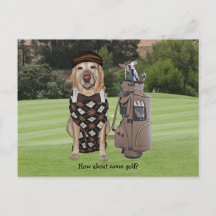 Funny Dog/Lab op Golfcursus Briefkaart