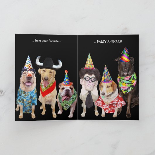 Funny Dog / Lab Verjaardag Kaart voor Guy (Binnen)