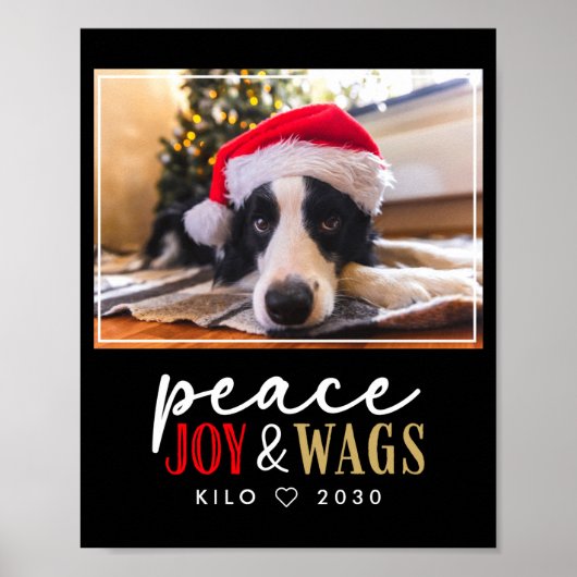 Funny Dog Lover Christmas Photo Cute D  Poster (Voorkant)