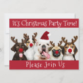 Funny Dog Lovers, Kerstfeest Kaart (Voorkant)