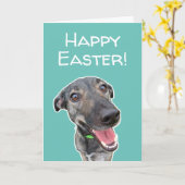 Funny Dog Lovers Paaskaart Kaart (Gele Bloem)