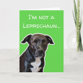 Funny Dog Lovers St. Patrick's Day Card Kaart (Voorkant)