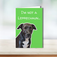 Funny Dog Lovers St. Patrick's Day Card