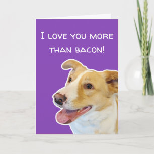 Funny Dog Lovers Valentijnsdag Card Kaart
