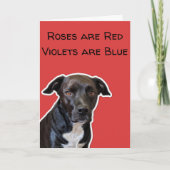 Funny Dog Lovers Valentijnsdag Card Kaart (Voorkant)