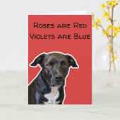Funny Dog Lovers Valentijnsdag Card Kaart (Gele Bloem)