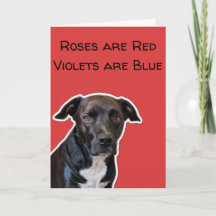 Funny Dog Lovers Valentijnsdag Card