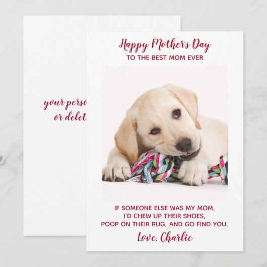 Funny Dog Ma Specialized Pet Photo Moederdag Feestdagenkaart (Voorkant / Achterkant)