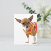 Funny Dog maakt gezichten van Chihuahua Briefkaart (Staand voorkant)
