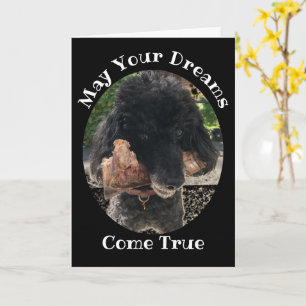 Funny Dog met een Bone Birthday Kaart