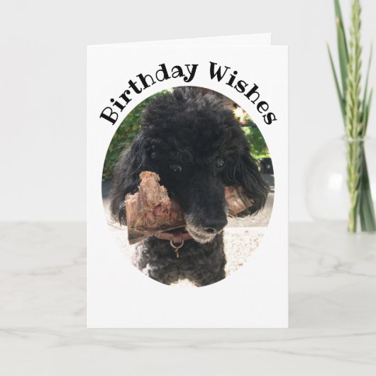 Funny Dog met een Bone Birthday Kaart (Voorkant)