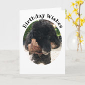 Funny Dog met een Bone Birthday Kaart (Gele Bloem)