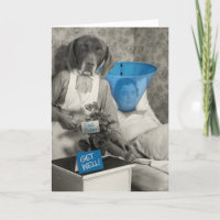 Funny Dog Nurse krijgt goede Kaart