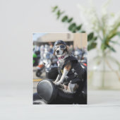 Funny dog op motorfiets foto briefkaart (Staand voorkant)