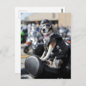 Funny dog op motorfiets foto briefkaart (Voorkant / Achterkant)