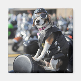 Funny dog op motorfiets foto magneet