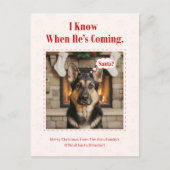Funny Dog Pet Photo Christmas Holiday Postcard Feestdagenkaart (Voorkant)