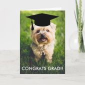 Funny Dog Photo Afstuderen Kaart, Custom Dog Photo Kaart (Voorkant)