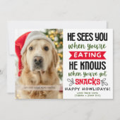 Funny Dog Photo Christmas Picture Personalized Feestdagenkaart (Voorkant)