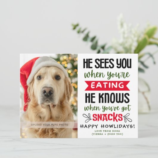 Funny Dog Photo Christmas Picture Personalized Feestdagenkaart (Staand voorkant)