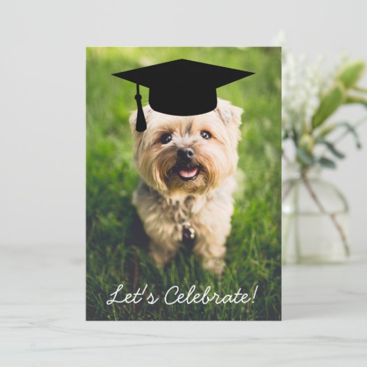 Funny Dog Photo Graduparty - Gebruik uw foto Kaart (Staand voorkant)