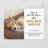 Funny Dog Photo Personalized Pet Moving Aankondigingskaart (Voorkant)