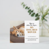 Funny Dog Photo Personalized Pet Moving Aankondigingskaart (Staand voorkant)