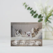 Funny Dog Photo Snowy YAPPY HOWLIDAYS Feestdagenkaart (Staand voorkant)