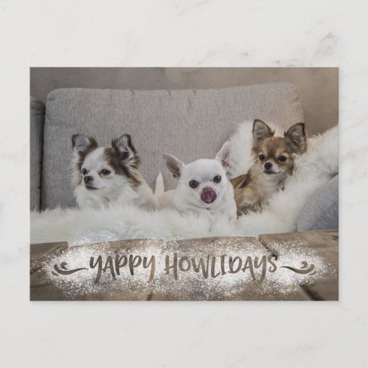 Funny Dog Photo Snowy YAPPY HOWLIDAYS Feestdagenkaart (Voorkant)