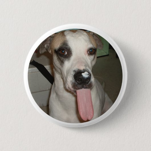 FUNNY DOG PIN RONDE BUTTON 5,7 CM (Voorkant)