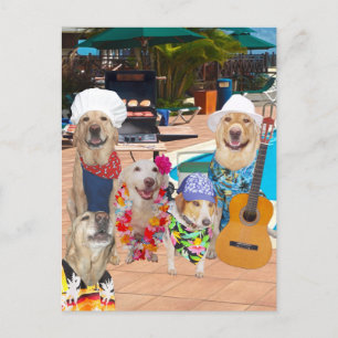 Funny Dog  Pool Party Briefkaart