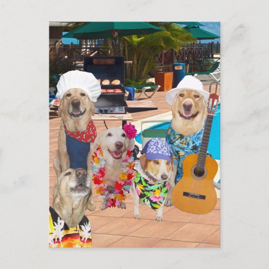 Funny Dog Pool Party Briefkaart (Voorkant)